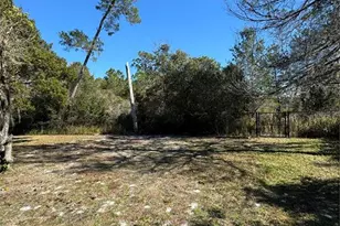 7565 Jomel Dr, Weeki Wachee, FL 34607 - Photo 44