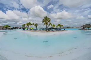 31602 Tansy Bnd, Wesley Chapel, FL 33545 - Photo 66