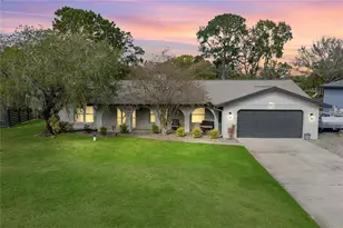 22481 Southshore Dr, Land O Lakes, FL 34639 - Photo 1