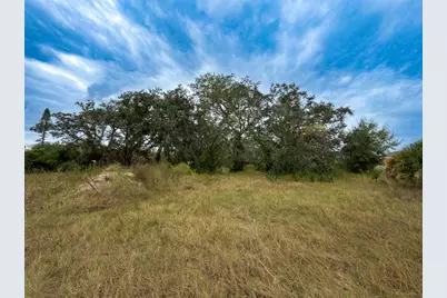 9947 Cowley Road, Riverview, FL 33578 - Photo 4