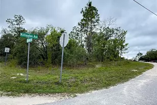 11205 Mountain Mockingbird Rd, Weeki Wachee, FL 34614 - Photo 1