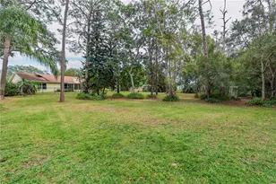 1120 Lanyard St, Palm Harbor, FL 34685 - Photo 42