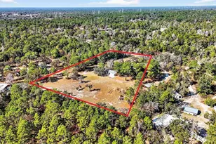 14252 Trinity Rd, Brooksville, FL 34614 - Photo 24