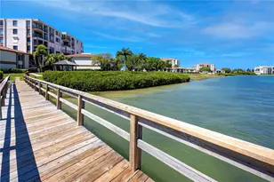 6113 Palma Del Mar Blvd S, Saint Petersburg, FL 33715 - Photo 40