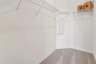 31365 Paper Birch St, Wesley Chapel, FL 33545 - Photo 20