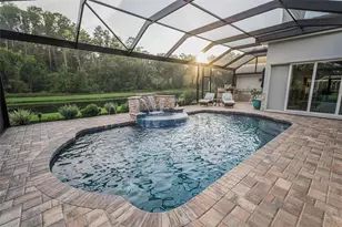4626 Ayron Terrace, Palm Harbor, FL 34685 - Photo 56
