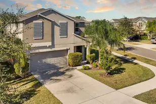 17201 Beach Buttercup Pl, Wimauma, FL 33598 - Photo 1