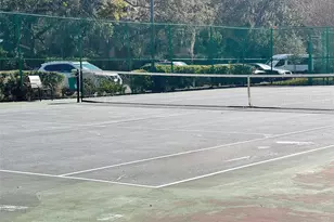 14313 Hanging Moss Cir, Tampa, FL 33613 - Photo 18