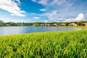 9316 Gentle Ben Ct, Weeki Wachee, FL 34613 - Photo 54