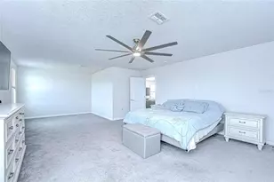 10914 Green Harvest Dr., Riverview, FL 33578 - Photo 46