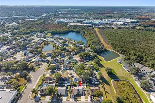 7712 Citrus Field Ct, Tampa, FL 33625 - Photo 36