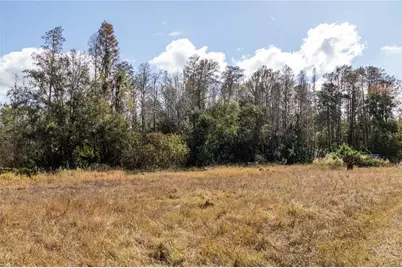 11560 Tarpon Springs, Odessa, FL 33556 - Photo 12