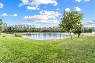 27416 Breakers Dr, Wesley Chapel, FL 33544 - Photo 46