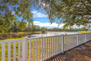 5806 Tanagerlake Rd, Lithia, FL 33547 - Photo 30