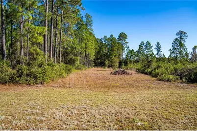 132 Nutmeg Trail, Interlachen, FL 32148 - Photo 92