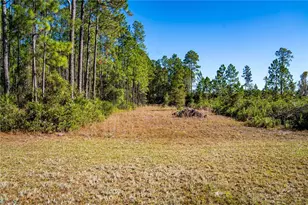 132 Nutmeg Trail, Interlachen, FL 32148 - Photo 92