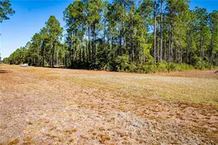132 Nutmeg Trail, Interlachen, FL 32148 - Photo 94