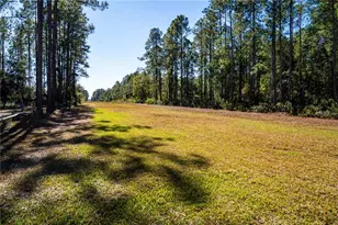 132 Nutmeg Trail, Interlachen, FL 32148 - Photo 84