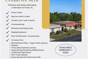 4105 La Pasida Ln, New Port Richey, FL 34655 - Photo 1
