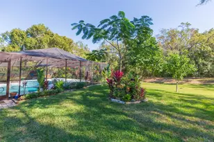 5039 Barrowe Dr, Tampa, FL 33624 - Photo 58