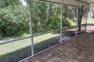 20120 Weeping Laurel Pl, Tampa, FL 33647 - Photo 30