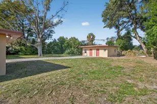 902 Marshall St, Clearwater, FL 33755 - Photo 6