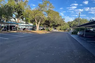 871 New York Ave, Dunedin, FL 34698 - Photo 32