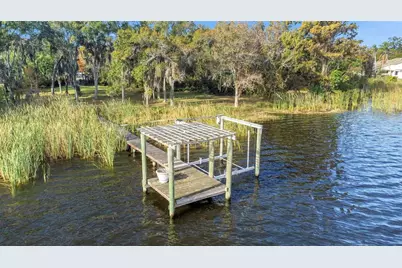 2661 Cyprus Drive, Palm Harbor, FL 34684 - Photo 10