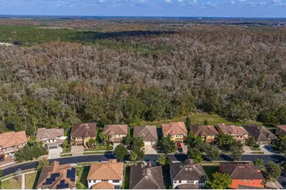 2833 Calvano Drive, Land O Lakes, FL 34639 - Photo 56