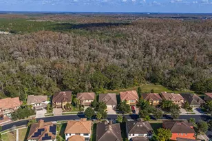 2833 Calvano Dr, Land O Lakes, FL 34639 - Photo 56