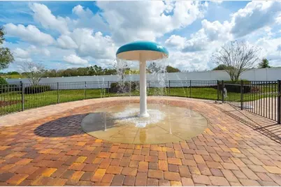 2833 Calvano Drive, Land O Lakes, FL 34639 - Photo 64