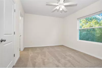 32859 Pez Landing Lane, Wesley Chapel, FL 33543 - Photo 12
