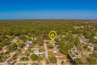 1837 Sourwood Boulevard, Dunedin, FL 34698 - Photo 62