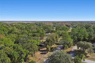 17641 Deerfield Dr, Lutz, FL 33558 - Photo 88