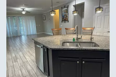 21529 Southern Charm Drive, Land O Lakes, FL 34637 - Photo 12