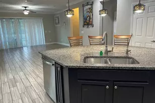 21529 Southern Charm Dr, Land O Lakes, FL 34637 - Photo 12