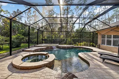 27736 Pine Point Drive, Wesley Chapel, FL 33544 - Photo 40