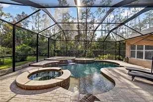 27736 Pine Point Dr, Wesley Chapel, FL 33544 - Photo 40