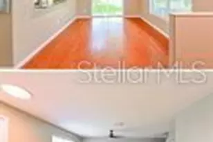 37706 Aaralyn Rd, Zephyrhills, FL 33542 - Photo 6