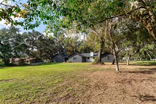 12540 Green Oak Ln, Dade City, FL 33525 - Photo 22