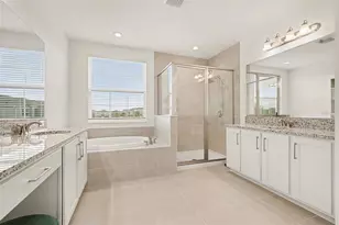 32745 Tamarind Grv Ln, Wesley Chapel, FL 33543 - Photo 26