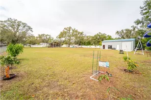 4405 Loma Vista Dr, Valrico, FL 33596 - Photo 48