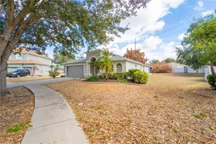 4309 Balington Dr, Valrico, FL 33596 - Photo 4