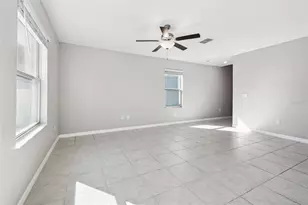 5157 White Chicory Dr, Apollo Beach, FL 33572 - Photo 16