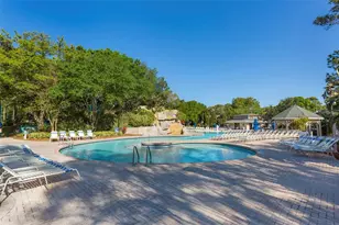 1151 Tinley Ct, Palm Harbor, FL 34683 - Photo 68