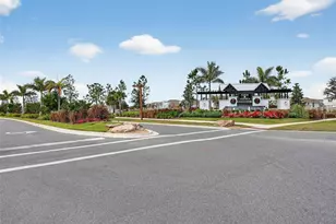 3842 Sunny Spring Street, Plant City, FL 33565 - Photo 30