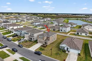 3842 Sunny Spring Street, Plant City, FL 33565 - Photo 32