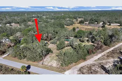 13255 Treaty Road, Spring Hill, FL 34610 - Photo 6