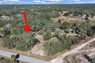 13255 Treaty Rd, Spring Hill, FL 34610 - Photo 6