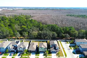 2058 Stellar Brilliance Wy, Lutz, FL 33558 - Photo 64